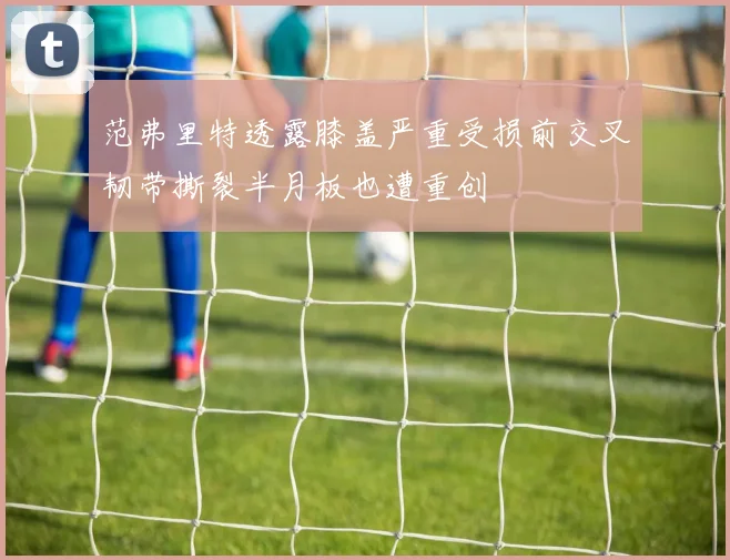 范弗里特透露膝盖严重受损前交叉韧带撕裂半月板也遭重创