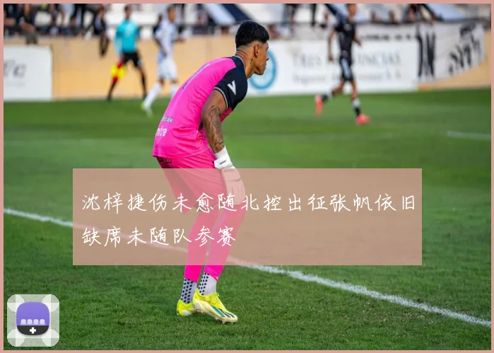 沈梓捷伤未愈随北控出征张帆依旧缺席未随队参赛